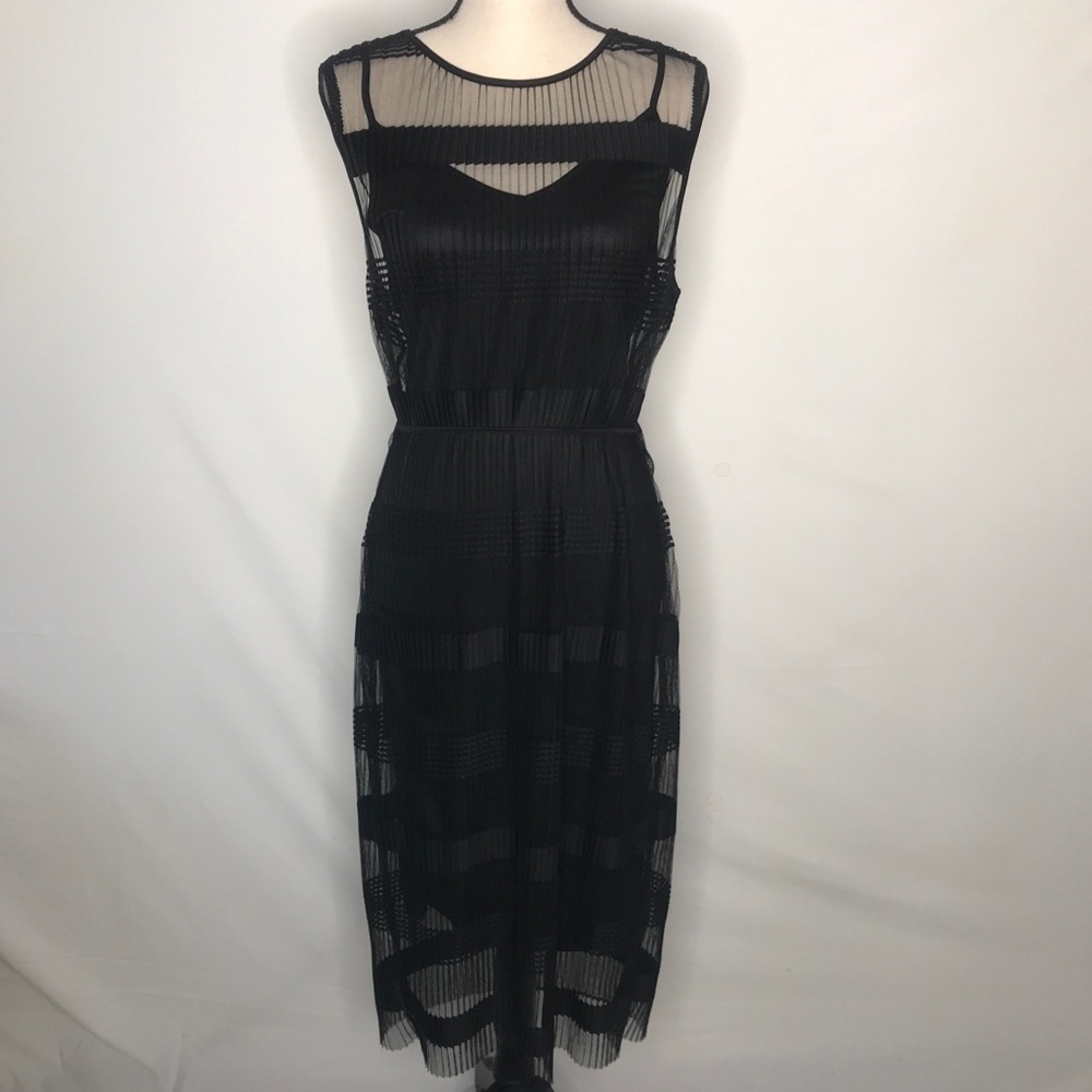 Black Sheer Causal Dress